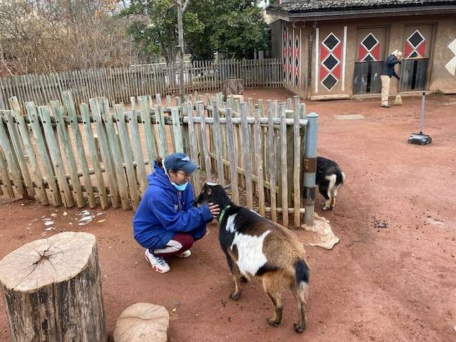 Student with goat at the Lousville Zoo. 